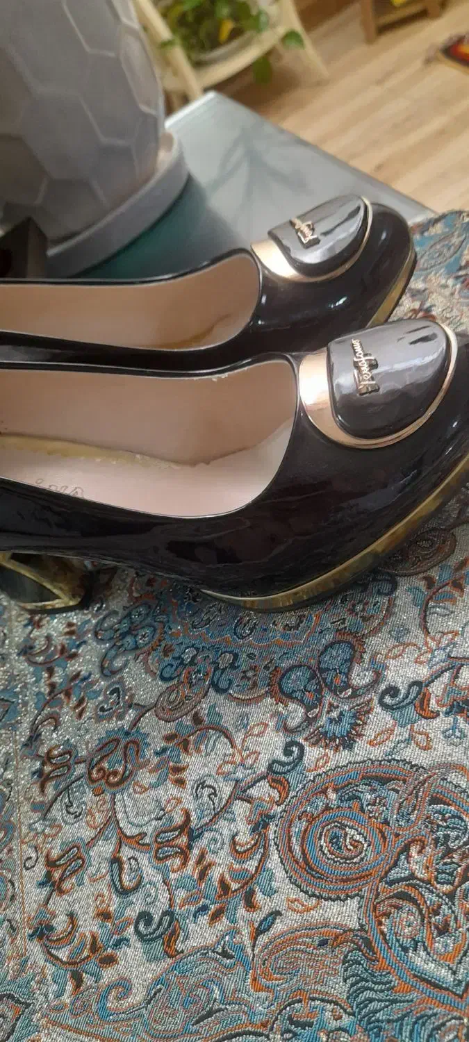 کفش مجلسی|کیف، کفش، کمربند|گرمسار, |دیوار