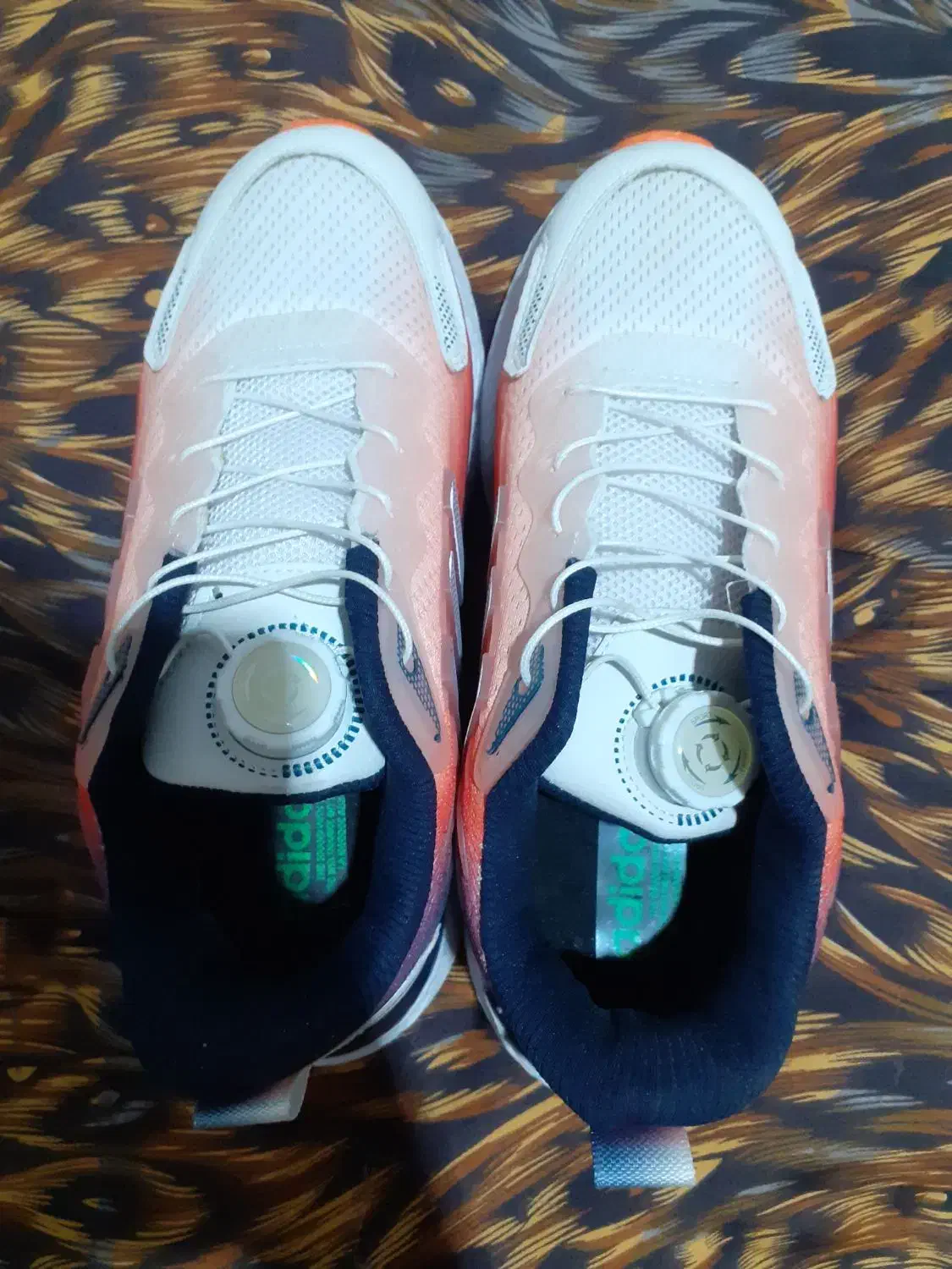 کفش|کیف، کفش، کمربند|آبیک, |دیوار