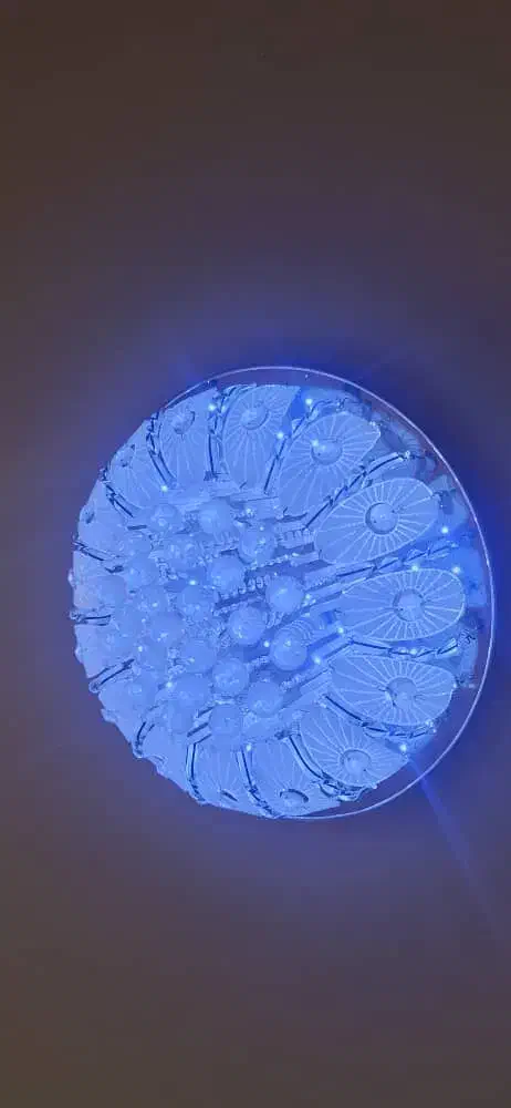 لوستر سقفی|لوستر و چراغ آویز|اهواز, کیان اباد|دیوار