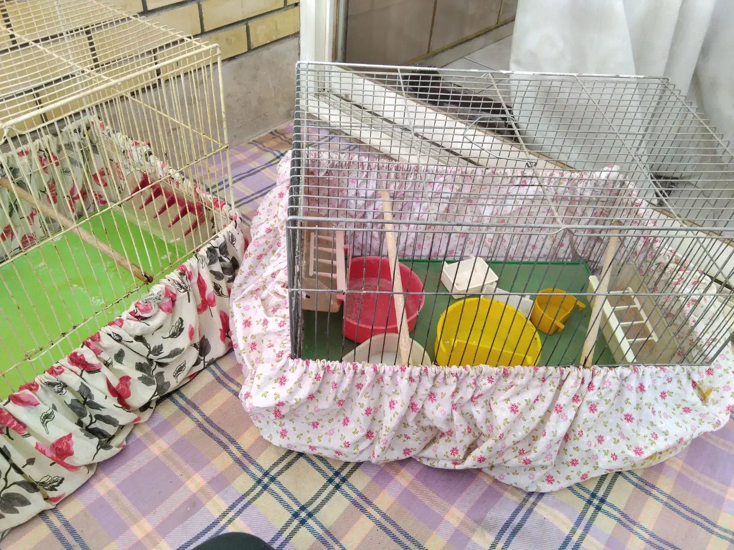 قفس جفت کن|لوازم جانبی حیوانات|اصفهان, سرتاوه|دیوار