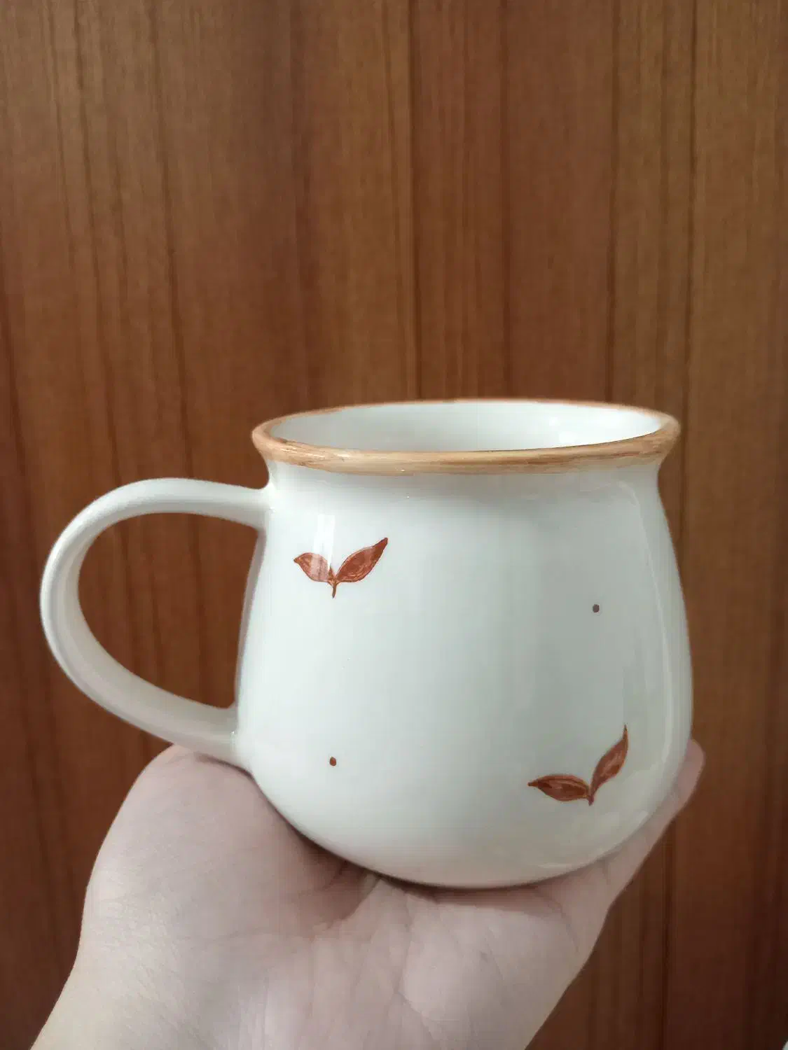 ظروف سرامیکی|ظروف سرو و پذیرایی|بازرگان, |دیوار