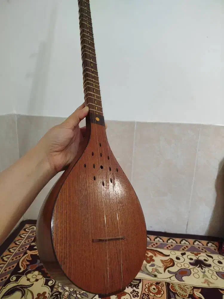 سه تار|سازهای سنتی|شیراز, مسلم|دیوار