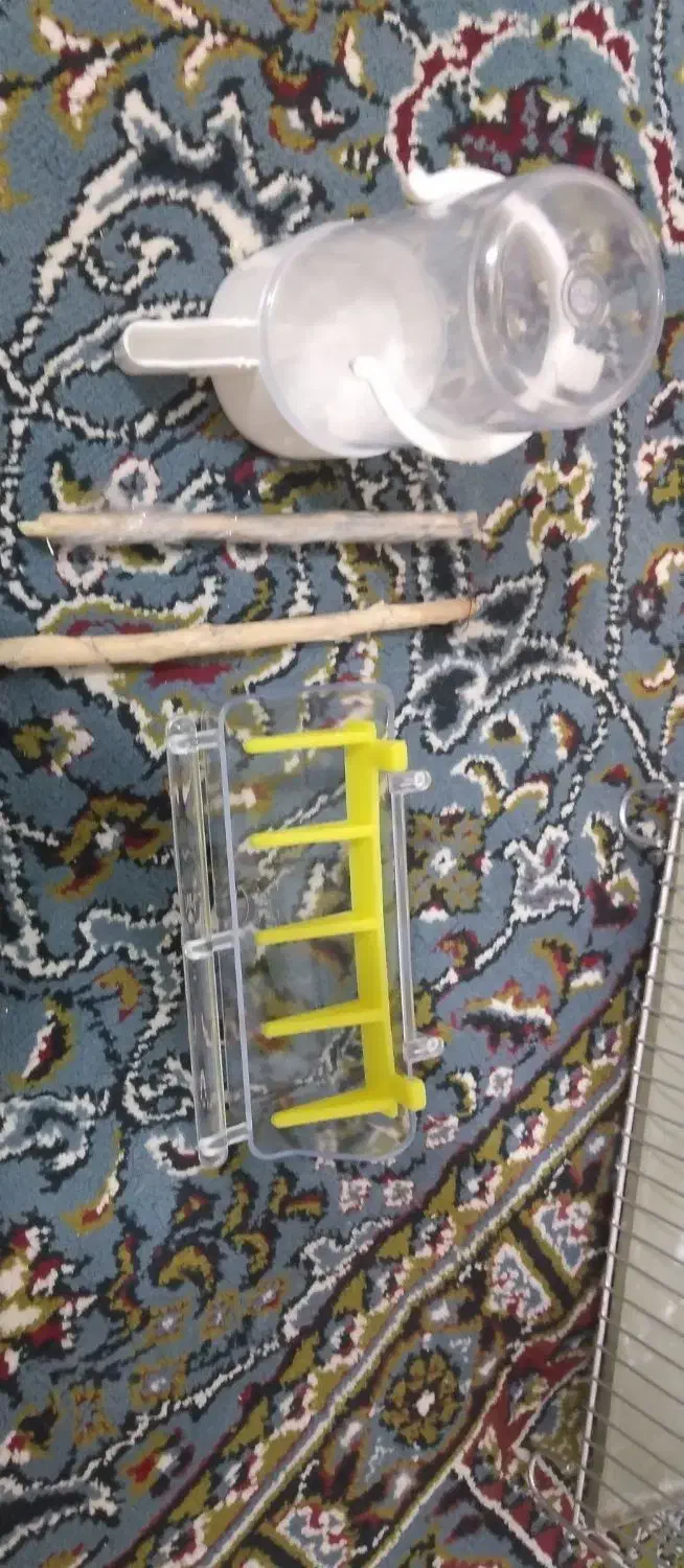 قفس|لوازم جانبی حیوانات|اسلام‌‌آباد غرب, |دیوار