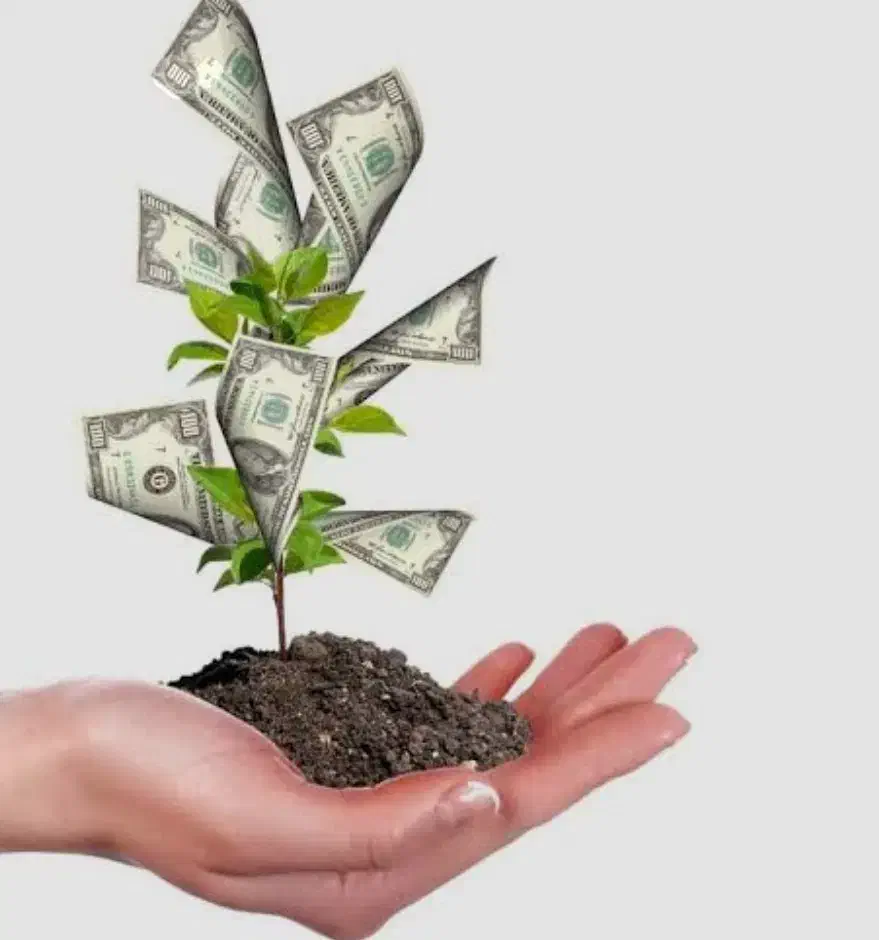 راهنمایی کنید|فعالیت داوطلبانه|رشت, منظریه|دیوار