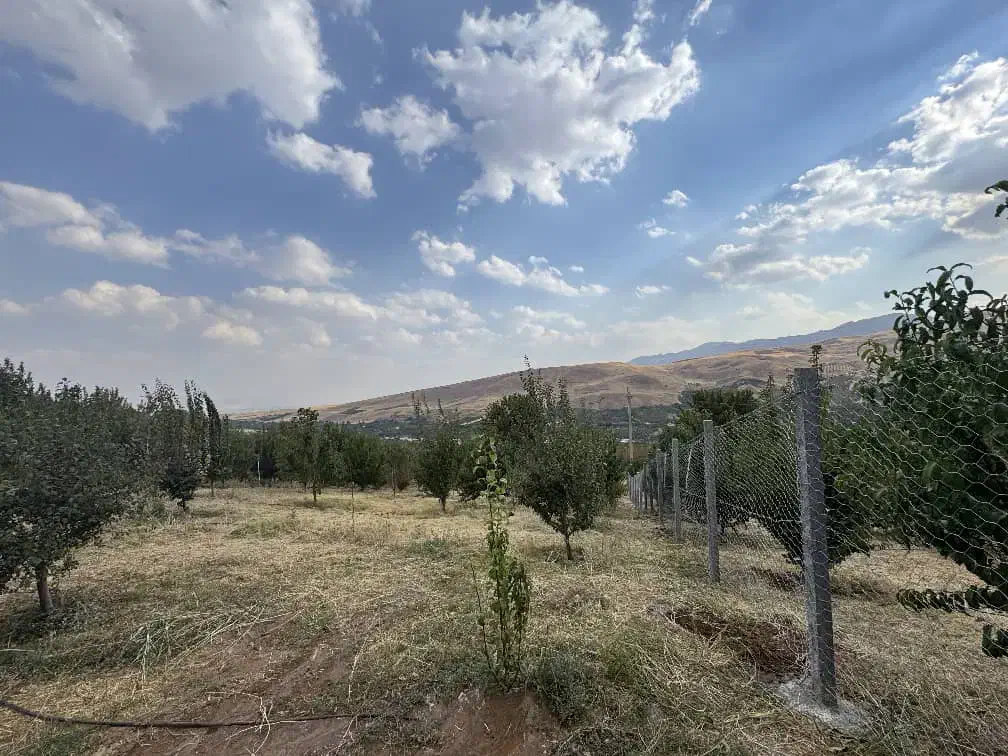 ۱۰۵۰ مترباغ فنس کشی شده سنددار گلدشت شیخمیری سادات|فروش زمین و ملک کلنگی|بروجرد, |دیوار