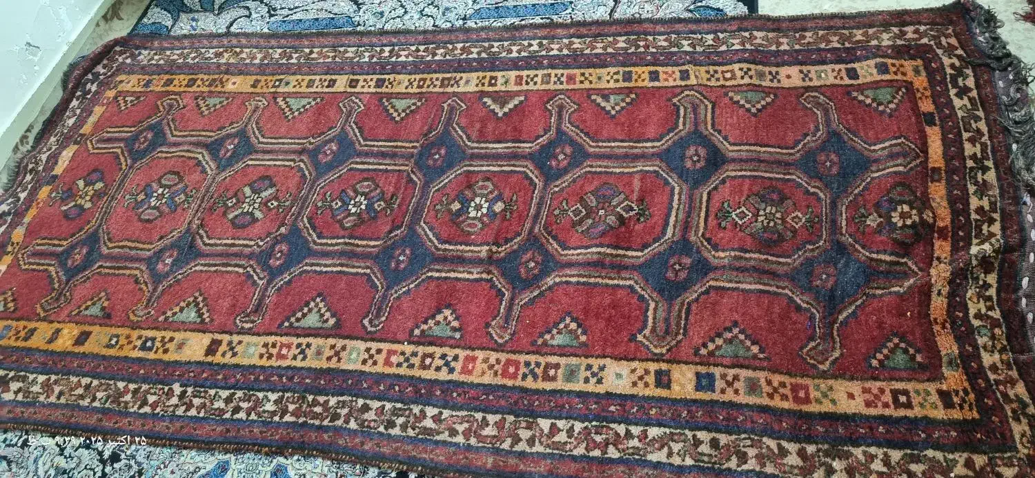 قالی محلی دستبافت|فرش|دوگنبدان, |دیوار