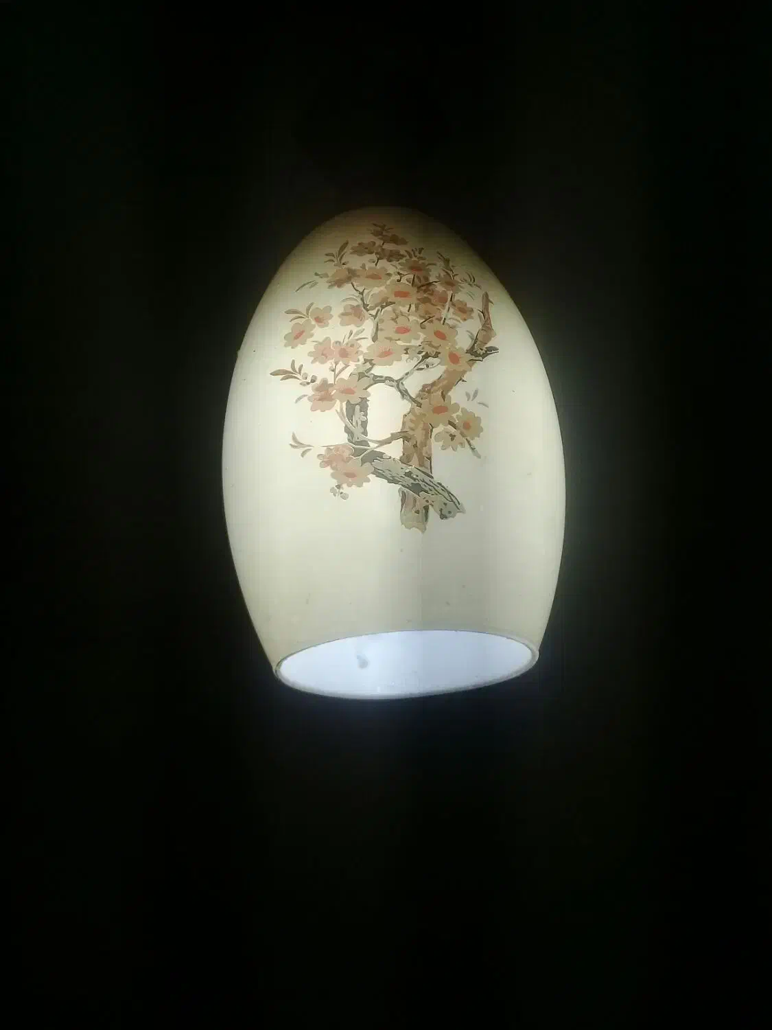 ستا لوستر بلور|لوستر و چراغ آویز|مشهد, امیر|دیوار