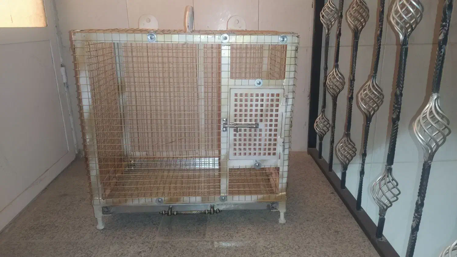 قفس|لوازم جانبی حیوانات|برخوار, |دیوار