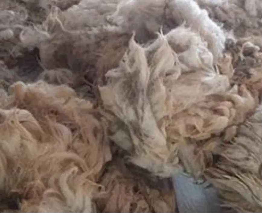 پشم گوسفند|رختخواب، بالش، پتو|خمینیشهر, |دیوار