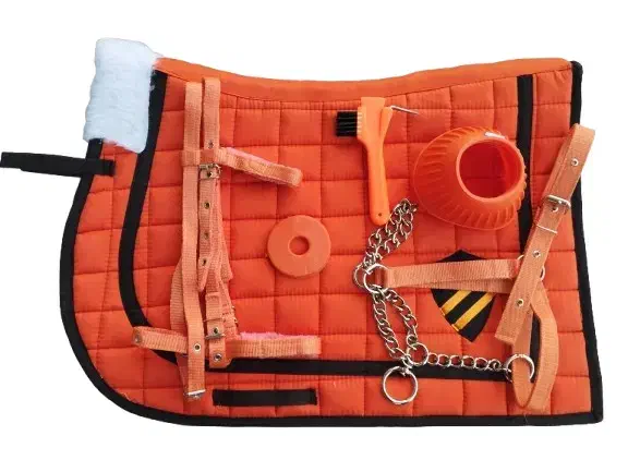 ست سوارکاری|اسب و تجهیزات اسبسواری|تولم شهر, |دیوار