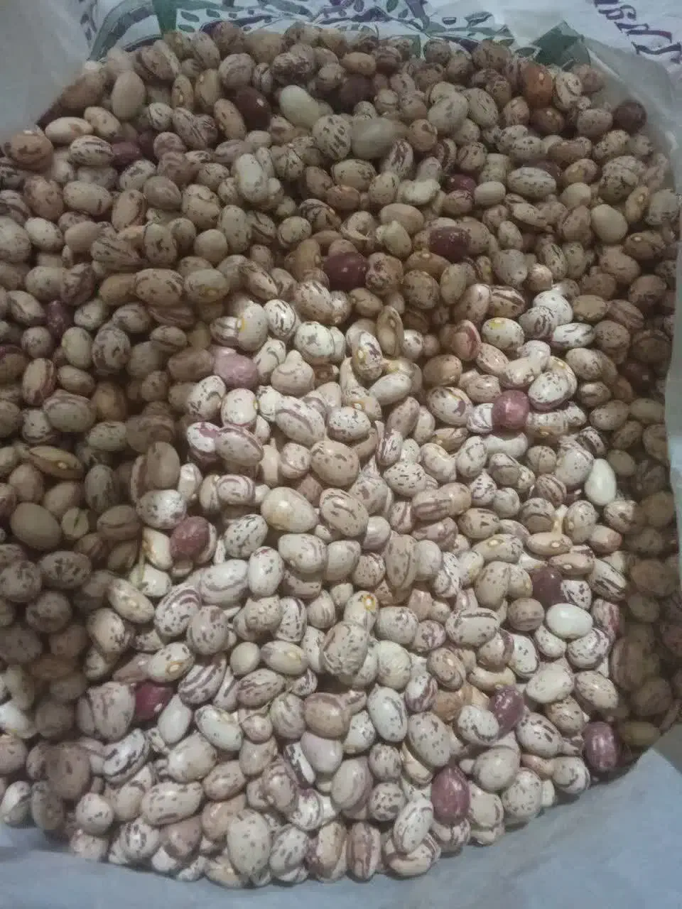 لوبیا چیتی|خوردنی و آشامیدنی|تهران, امیر بهادر|دیوار