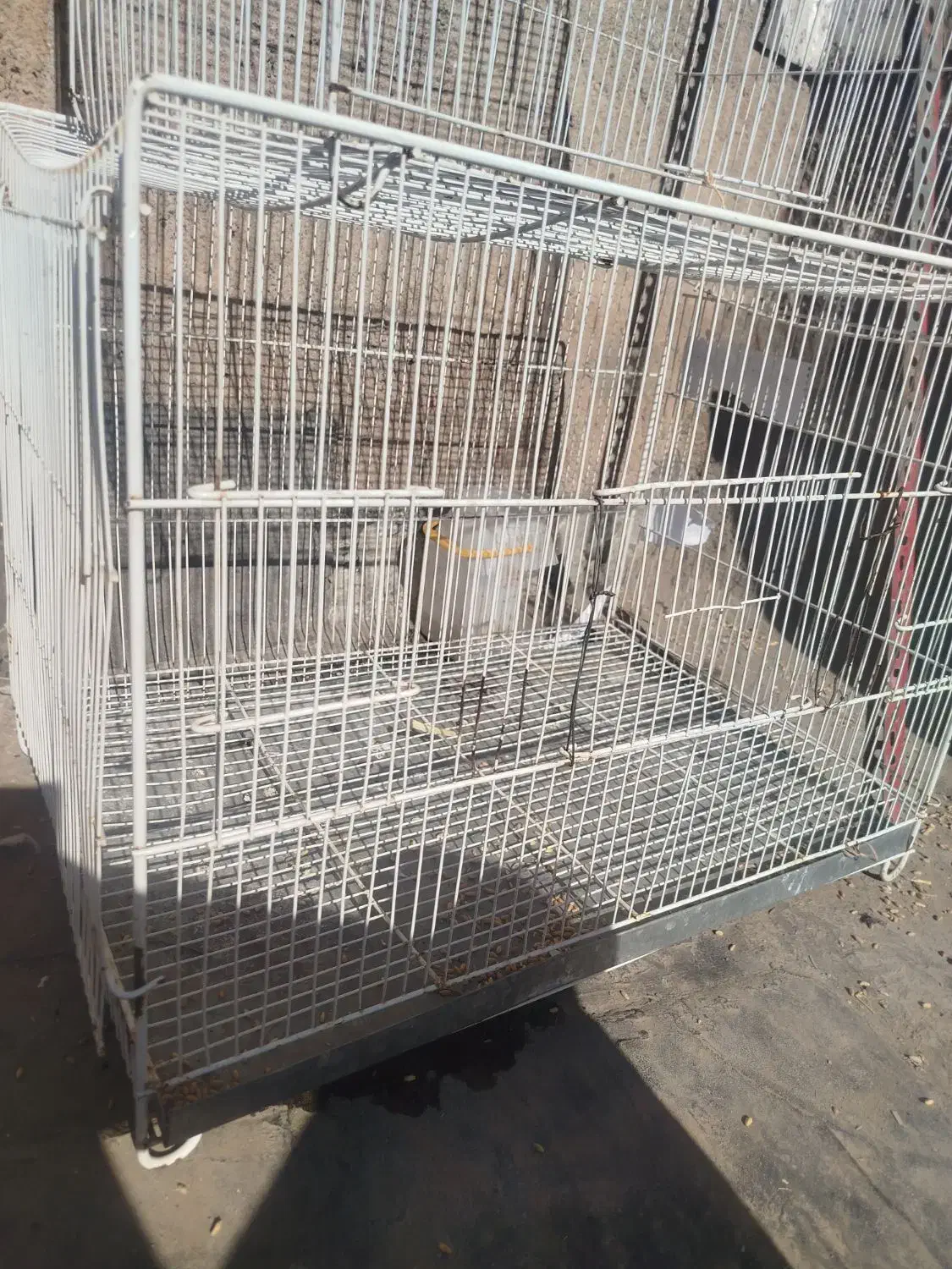 قفس پرنده|لوازم جانبی حیوانات|نیشابور, مازول|دیوار