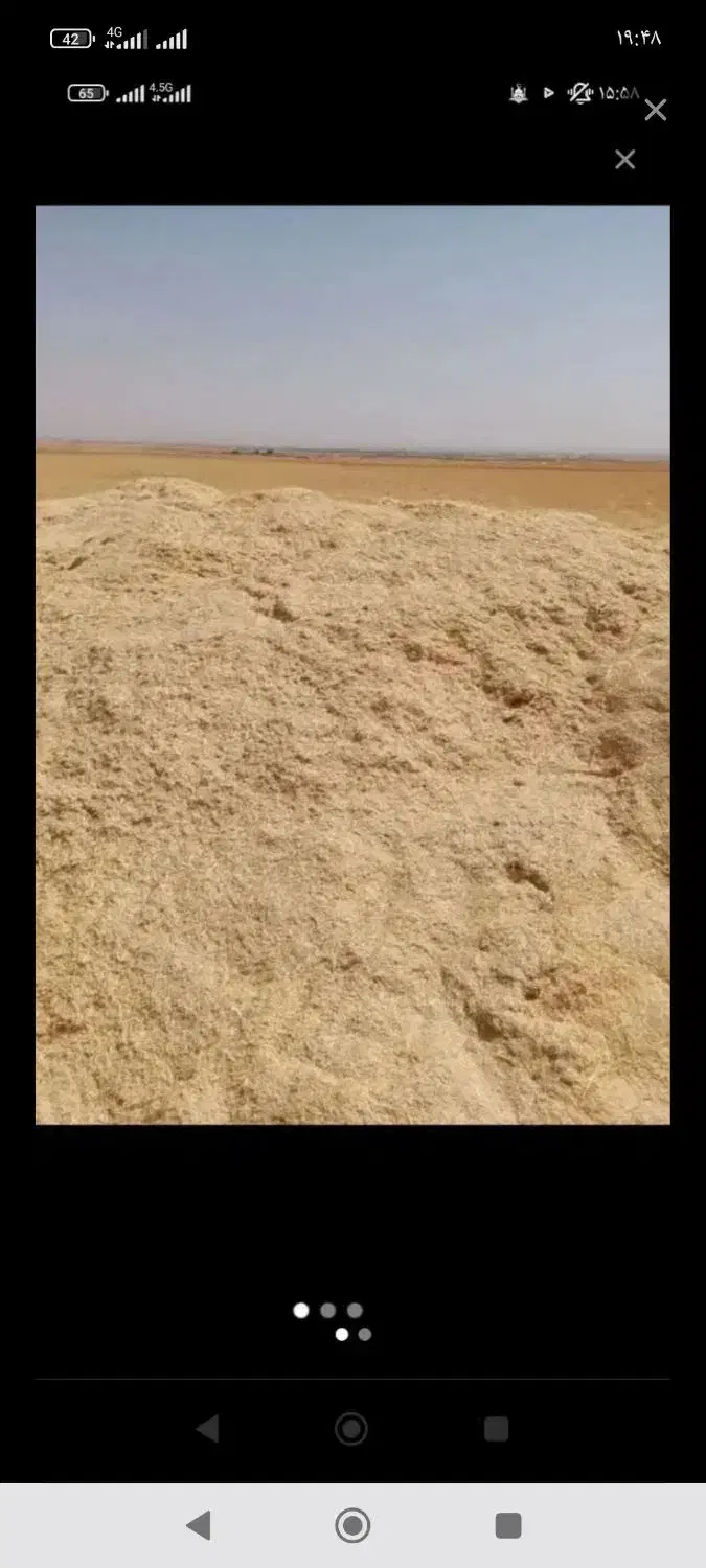 کاه زرد|خدمات باغبانی و درختکاری|دهگلان, |دیوار