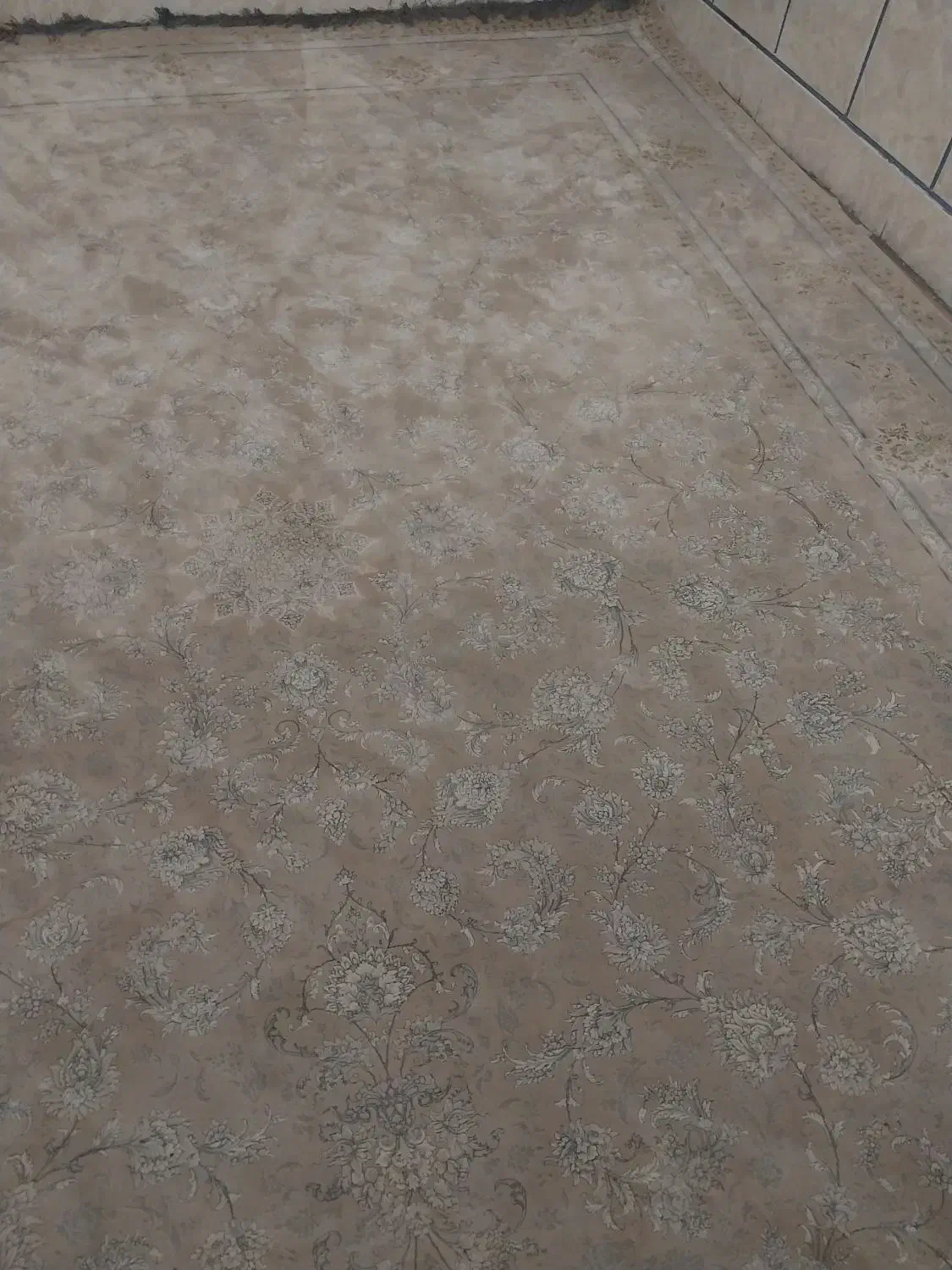 فرش نو گل برجسته|فرش|لردگان, |دیوار