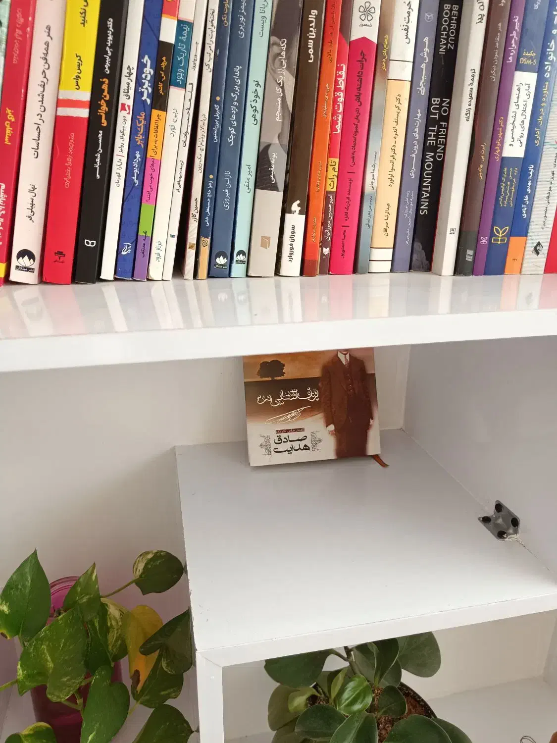 کتابخانه نو|کتابخانه، شلف، قفسههای دیواری|بیرجند, |دیوار