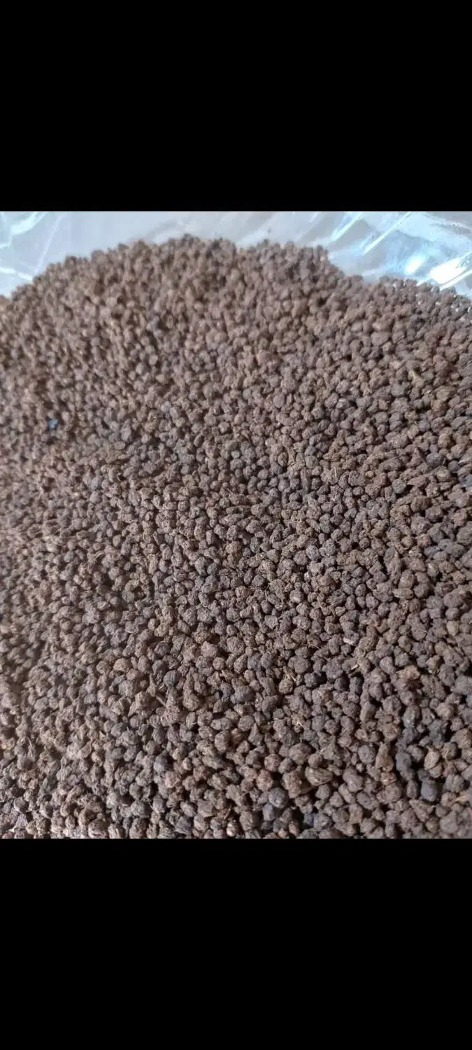 چای باروتی|خوردنی و آشامیدنی|دهلران, |دیوار