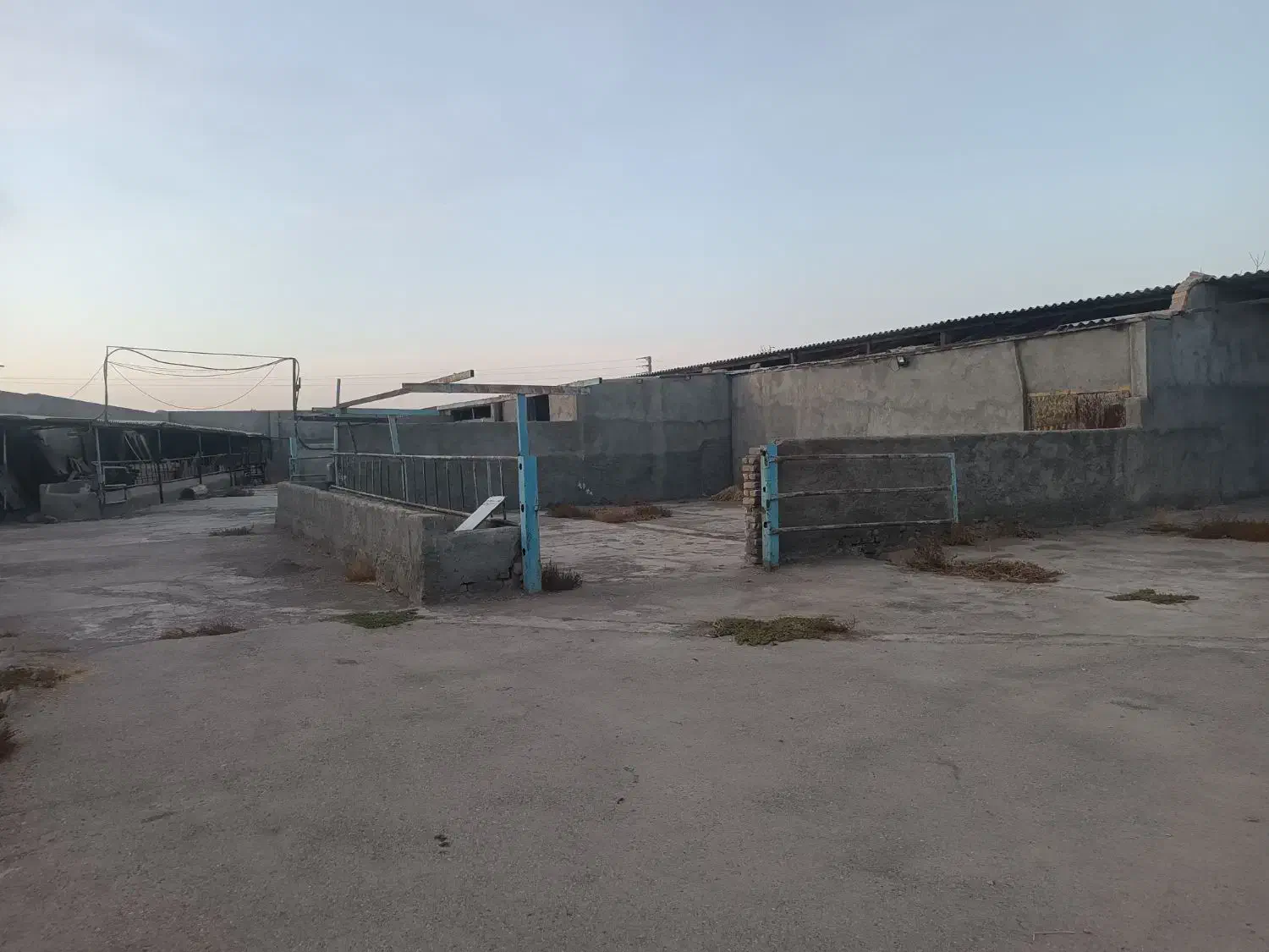 زمین باغی دور دیوار گلمکان سند شش دانگ متداژ 3200|فروش خانه و ویلا|گلمکان, |دیوار