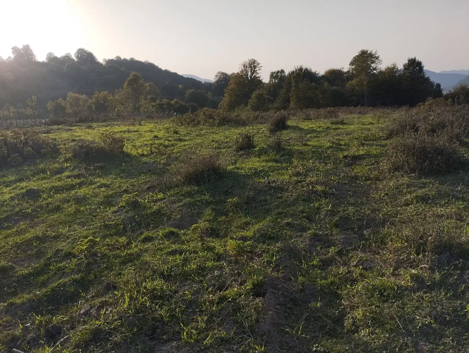 زمین خارج بافت زارعی|فروش زمین و ملک کلنگی|فریم, |دیوار