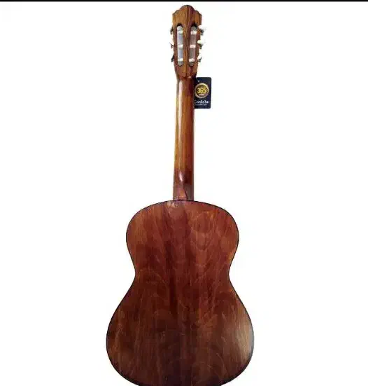 گیتار کلاسیک cordoba|گیتار، بیس، امپلیفایر|میناب, |دیوار