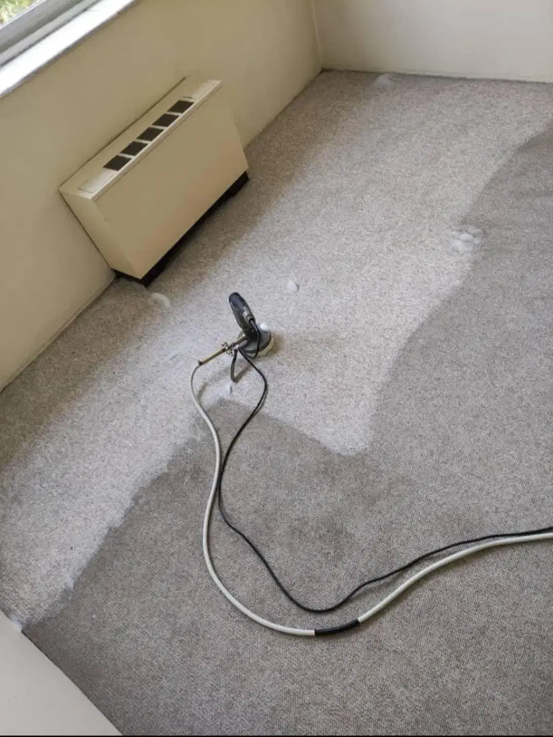 مبل شویی .قالیشویی .شستشوی انواع خوشخواب موکت شویی|خدمات نظافت|بندرعباس, |دیوار