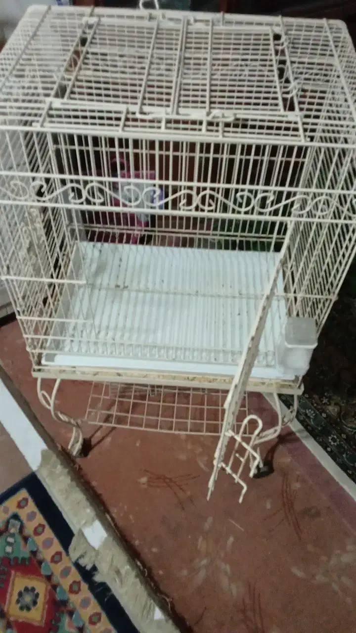 قفس ژاپنی|لوازم جانبی حیوانات|مشهد, سراب|دیوار