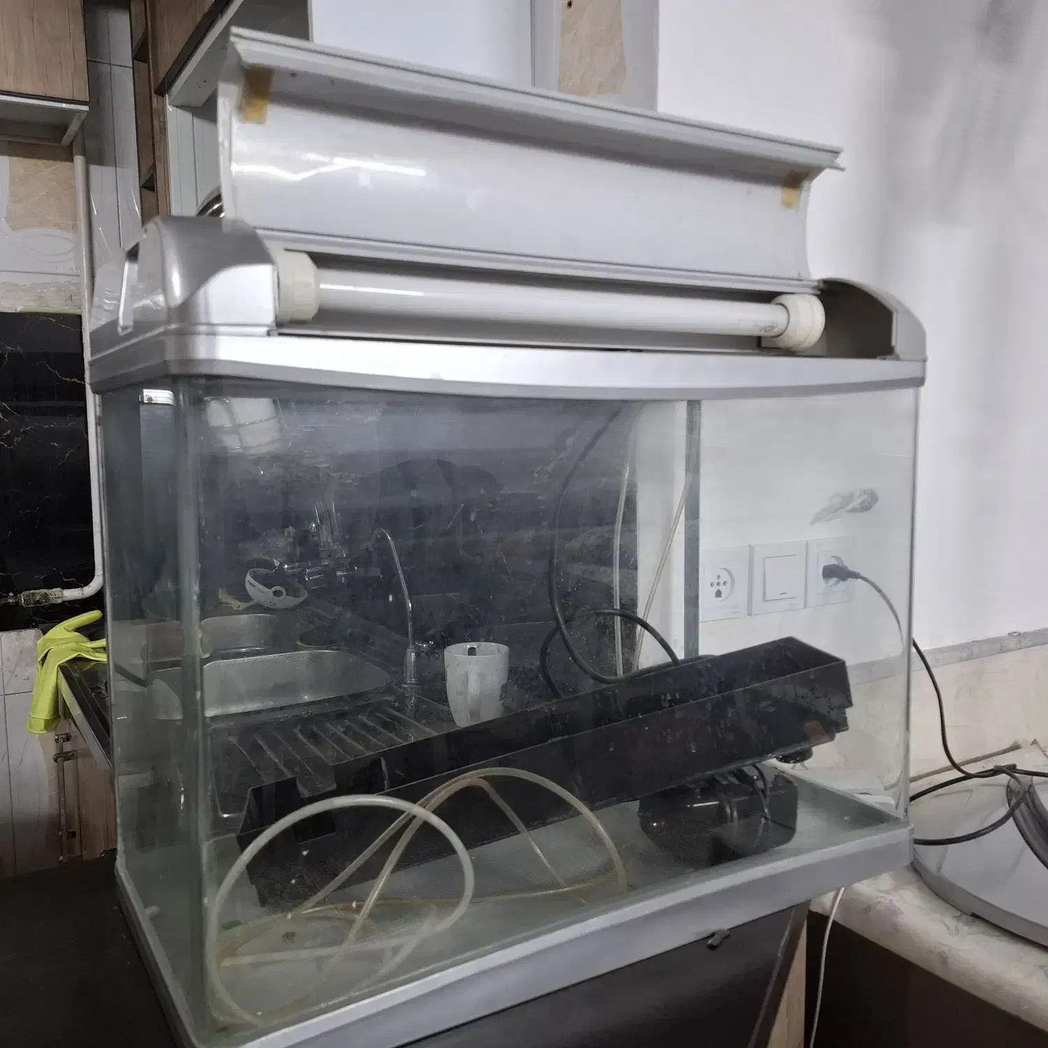 اکواریوم شرکتی لاکچری بزرگ با تجهیزات کامل|ماهی|قم, لسانی|دیوار