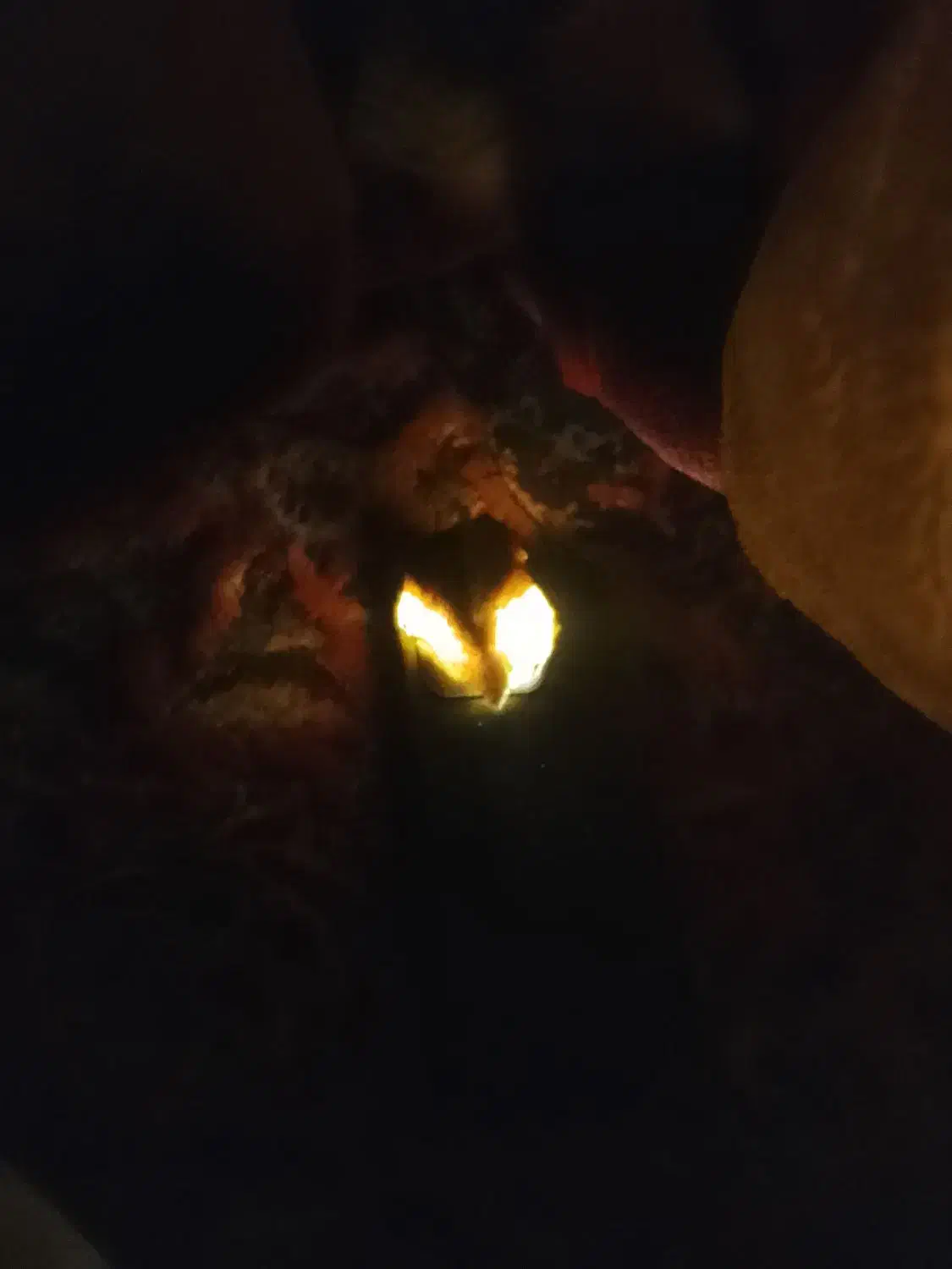 شهاب سنگ با ارزش|جواهرات|نورآباد, |دیوار