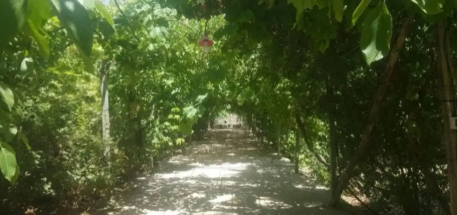 زمین مسکونی وباغشهری|فروش زمین و ملک کلنگی|شیراز, قلات|دیوار