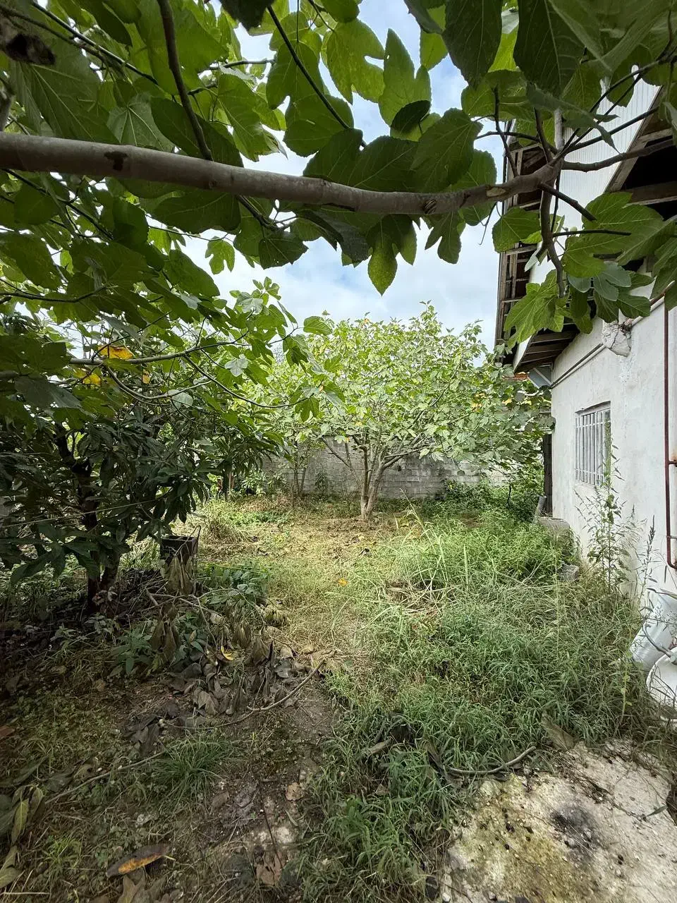 زمین و بنای کلنگی/ امتیازات نصب/نزدیک ساحل|فروش زمین و ملک کلنگی|خشکبیجار, |دیوار