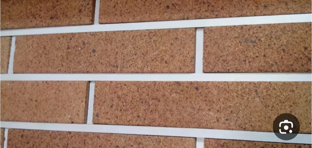 بندکشی ساختمان|خدمات پیشه و مهارت|کازرون, |دیوار