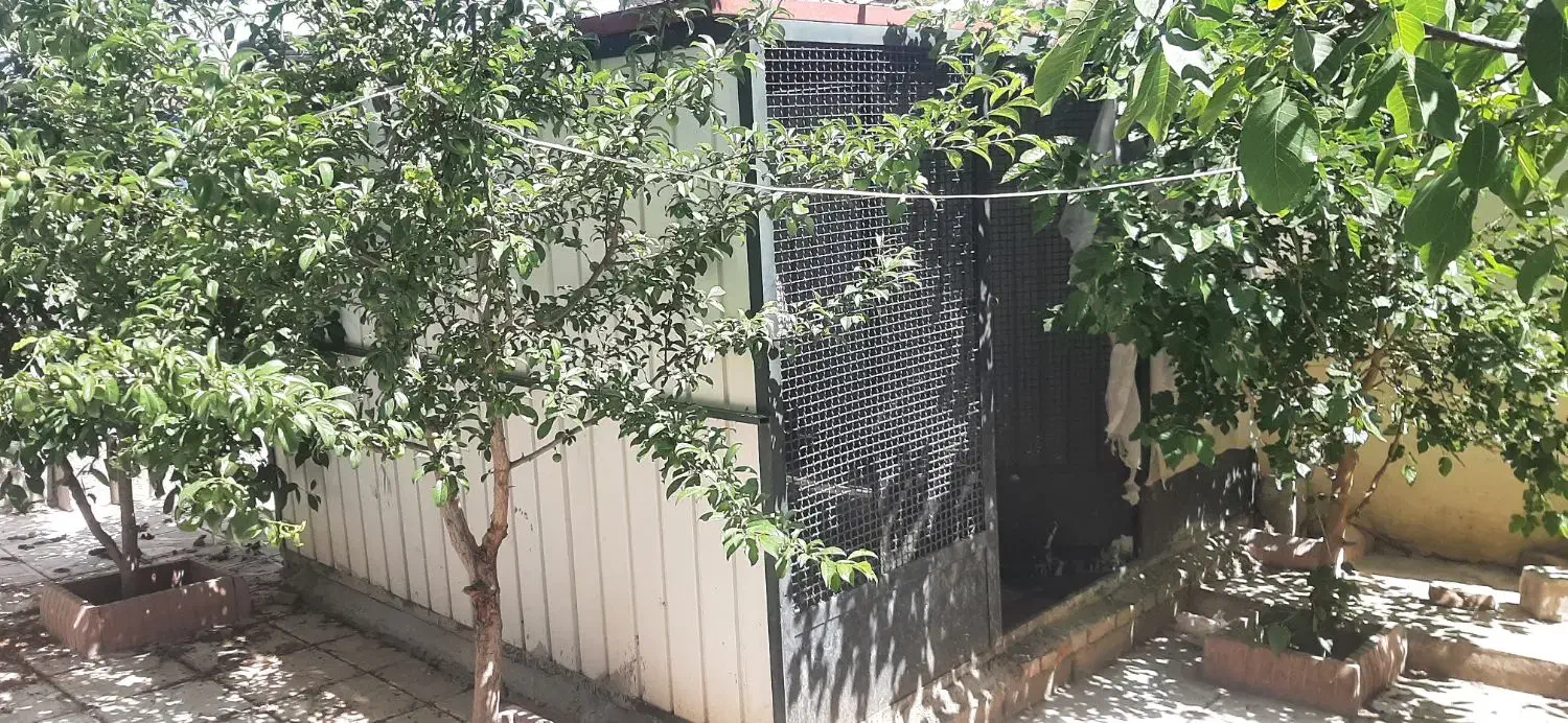 کانکس برای نگهداری مرغ و خروس و سگ|لوازم جانبی حیوانات|نوشین شهر, |دیوار