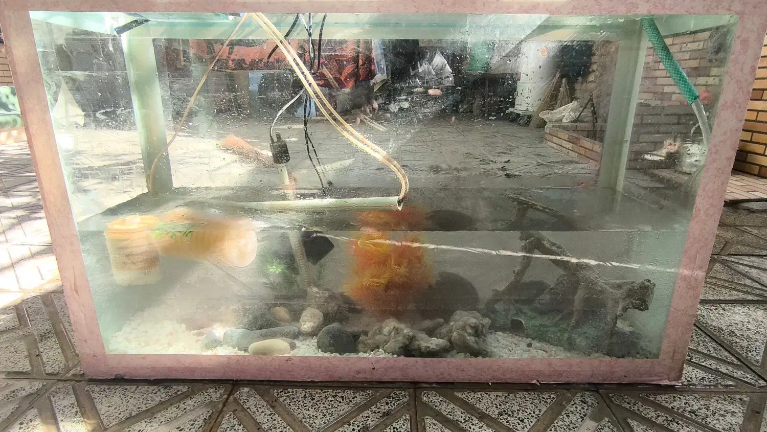 اکواریوم کامل|ماهی|لردگان, |دیوار