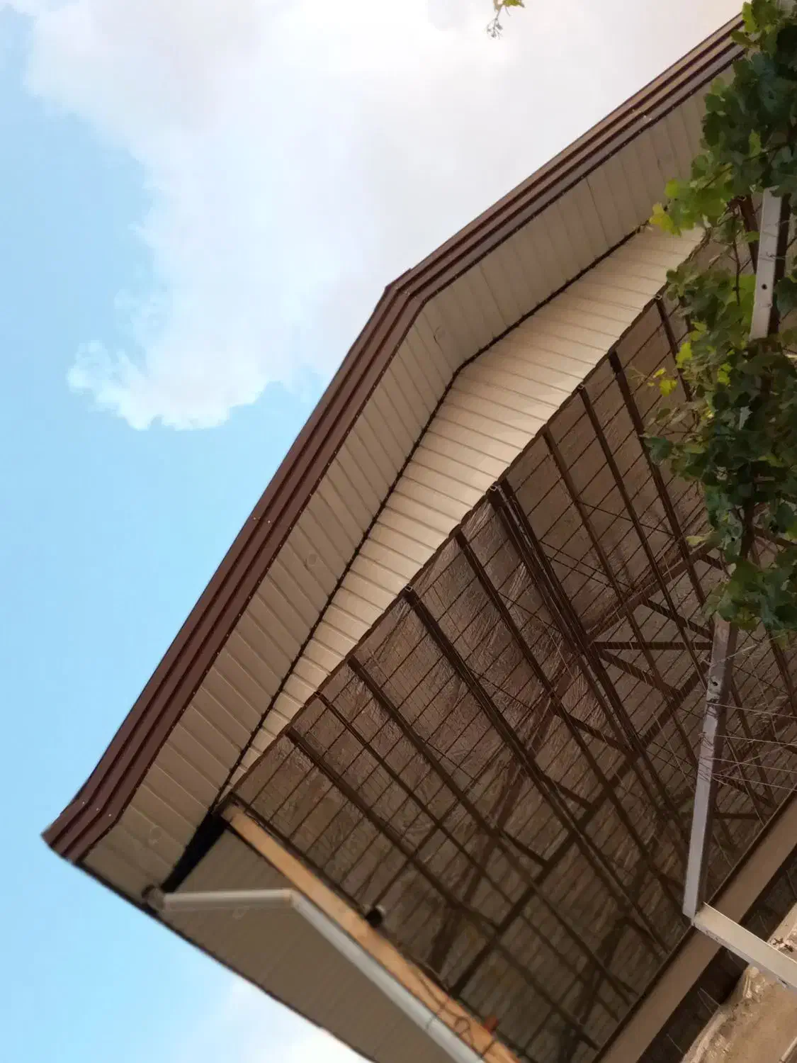 شیروانی رویال|خدمات پیشه و مهارت|قیدار, |دیوار