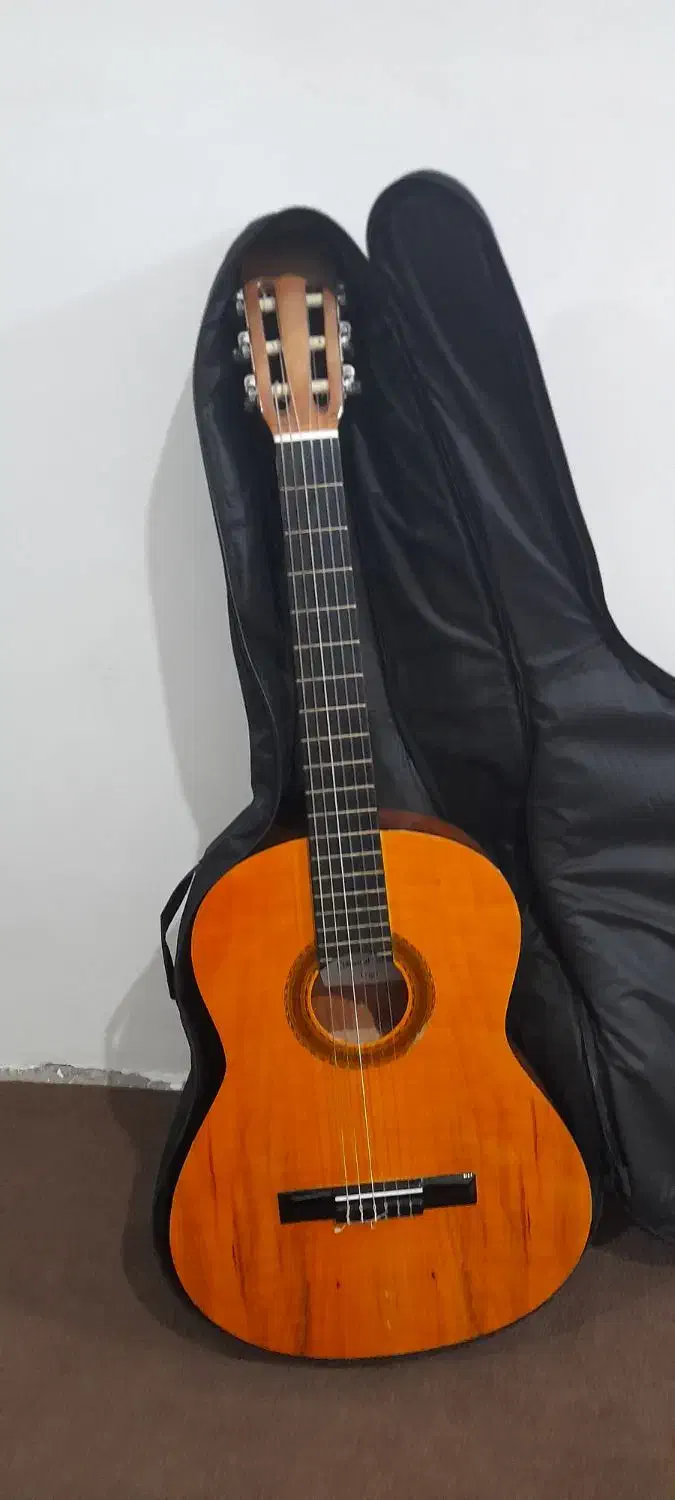 گیتار c50|گیتار، بیس، امپلیفایر|کلاله, |دیوار