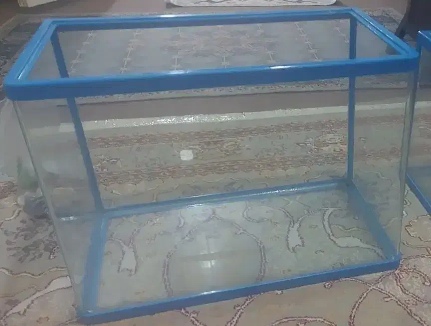 آکواریوم ماهی زیبا|ماهی|شاهدشهر, |دیوار