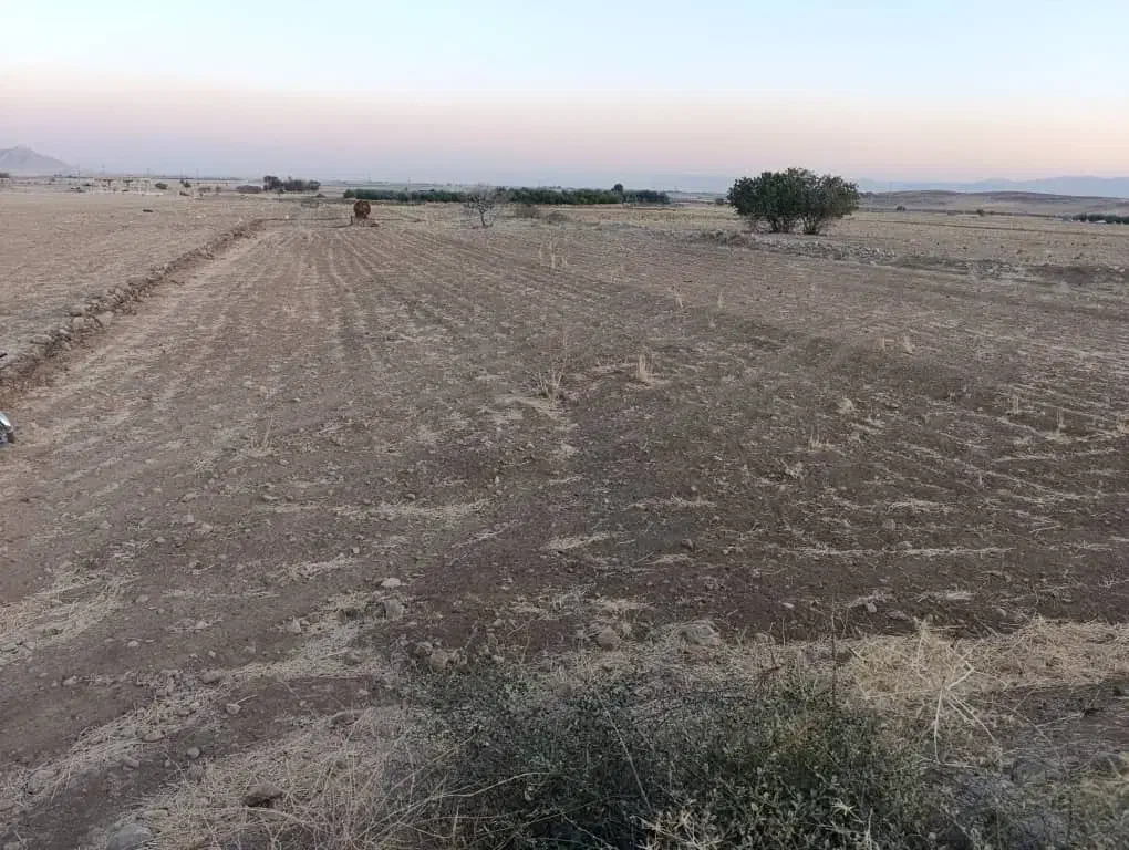 فروش سه هزارمتر زمین|فروش دفتر صنعتی، کشاورزی، تجاری|بانش, |دیوار