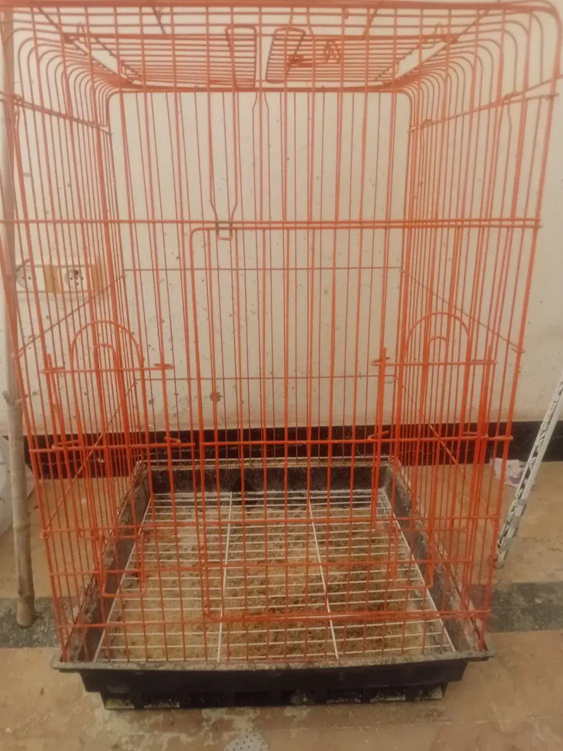 قفس|لوازم جانبی حیوانات|نوشهر, |دیوار