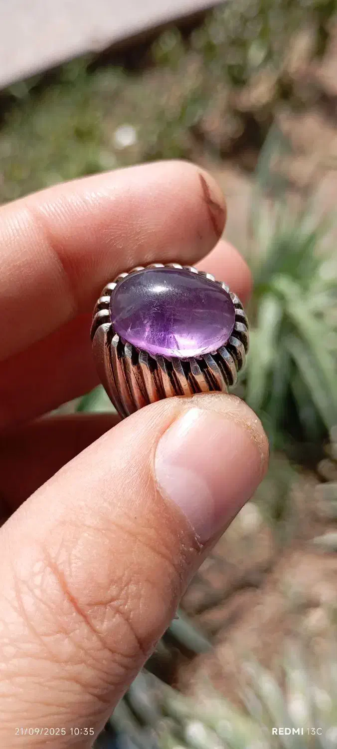 آماتیس برزیلی خوش رنگ|بدلیجات|سبزوار, امیر کبیر|دیوار