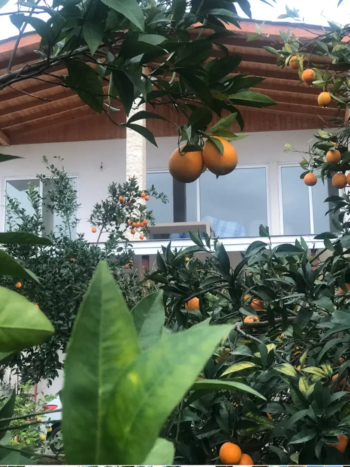 اجاره روزانه ماهانه ویلا|اجارهٔ کوتاهمدت ویلا و باغ|خرمآباد (تنکابن), |دیوار