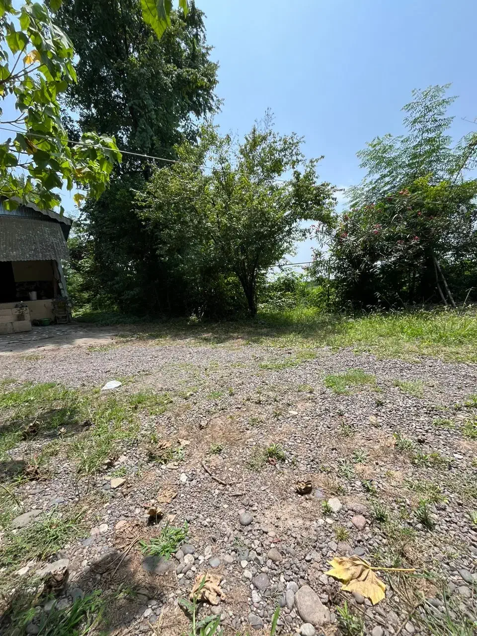 فروش خانه ویلایی ۸۵ متری ۲ خوابه در سعدی (تختی)|فروش خانه و ویلا|رشت, سعدی (تختی)|دیوار