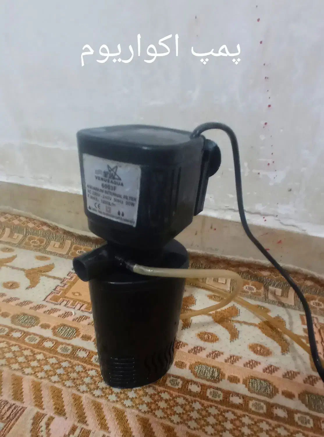 پمپ اکواریوم|ماهی|بندر امام خمینی, |دیوار