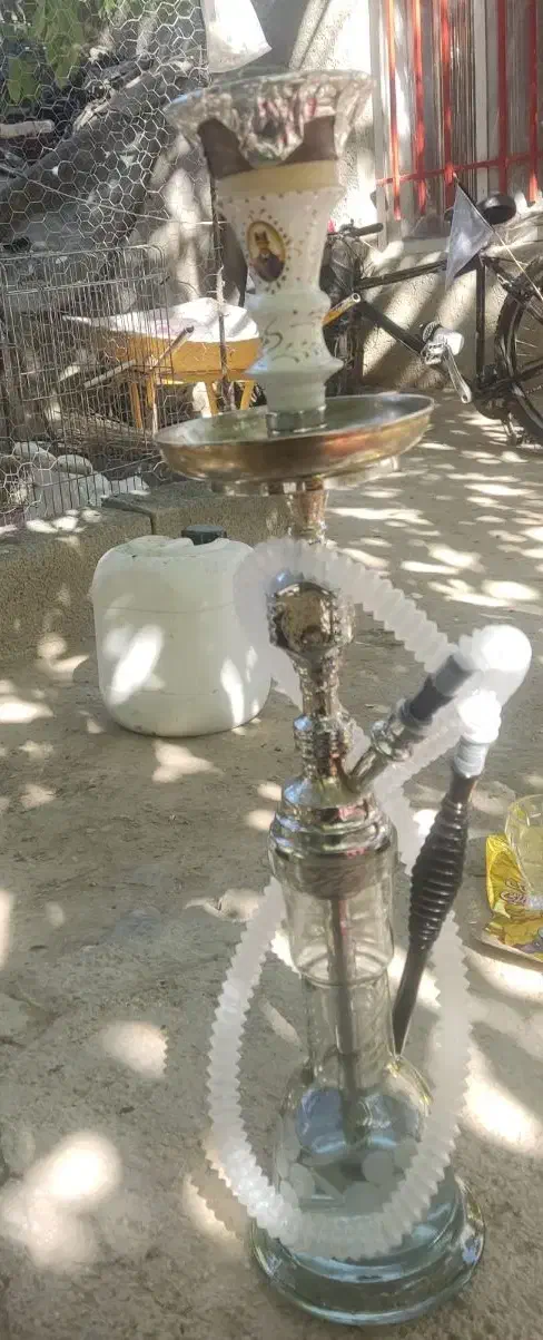 قیلان حاج اوقلی اصل|کلکسیون و سرگرمی|اسدآباد, |دیوار