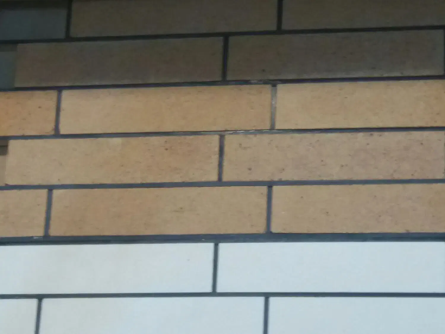 اجر ذاکر شاموتی نسوز|مصالح و تجهیزات ساختمان|شهرکرد, |دیوار