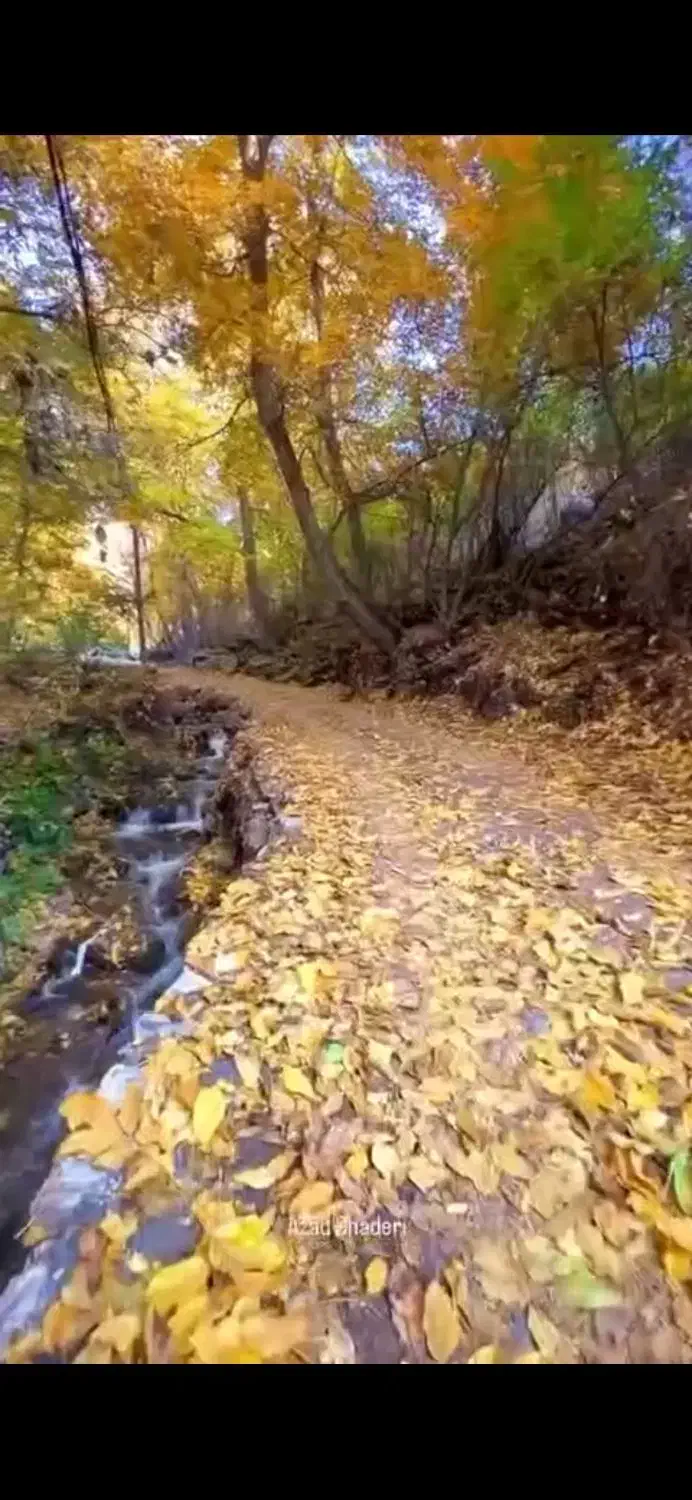 نظافتچی آقا هستم شبانه روز در خدمتم|خدمات نظافت|تهران, جمال‌زاده|دیوار