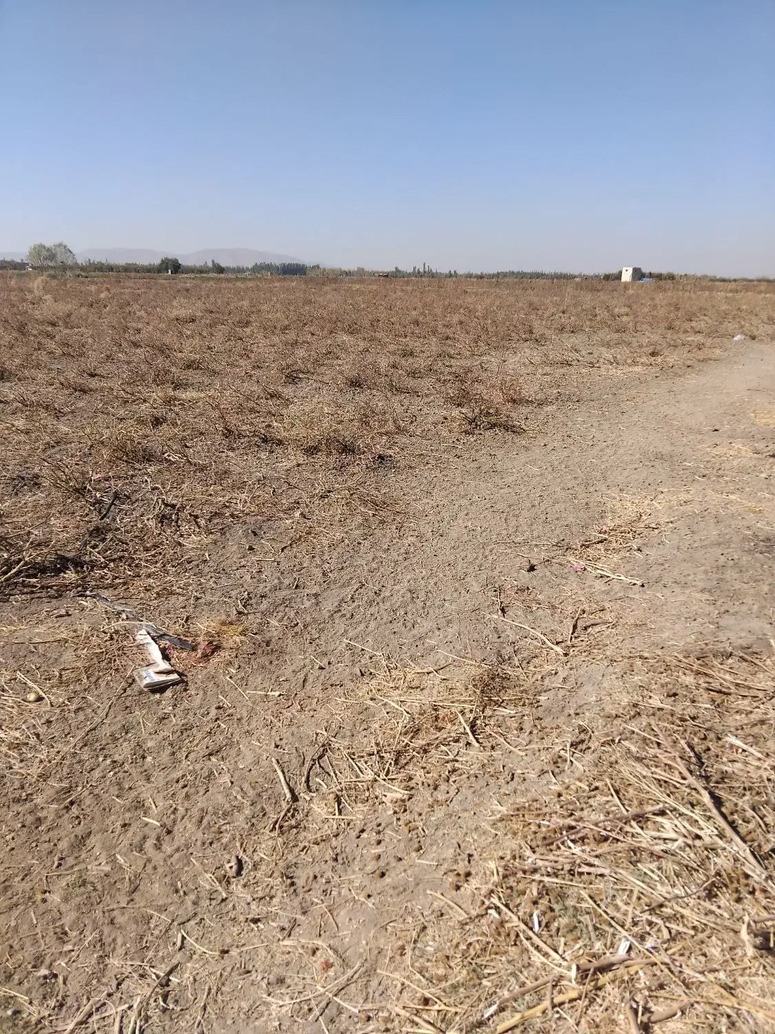 اجاره زمین کشاورزی|اجارهٔ دفتر صنعتی، کشاورزی، تجاری|میاندوآب, |دیوار