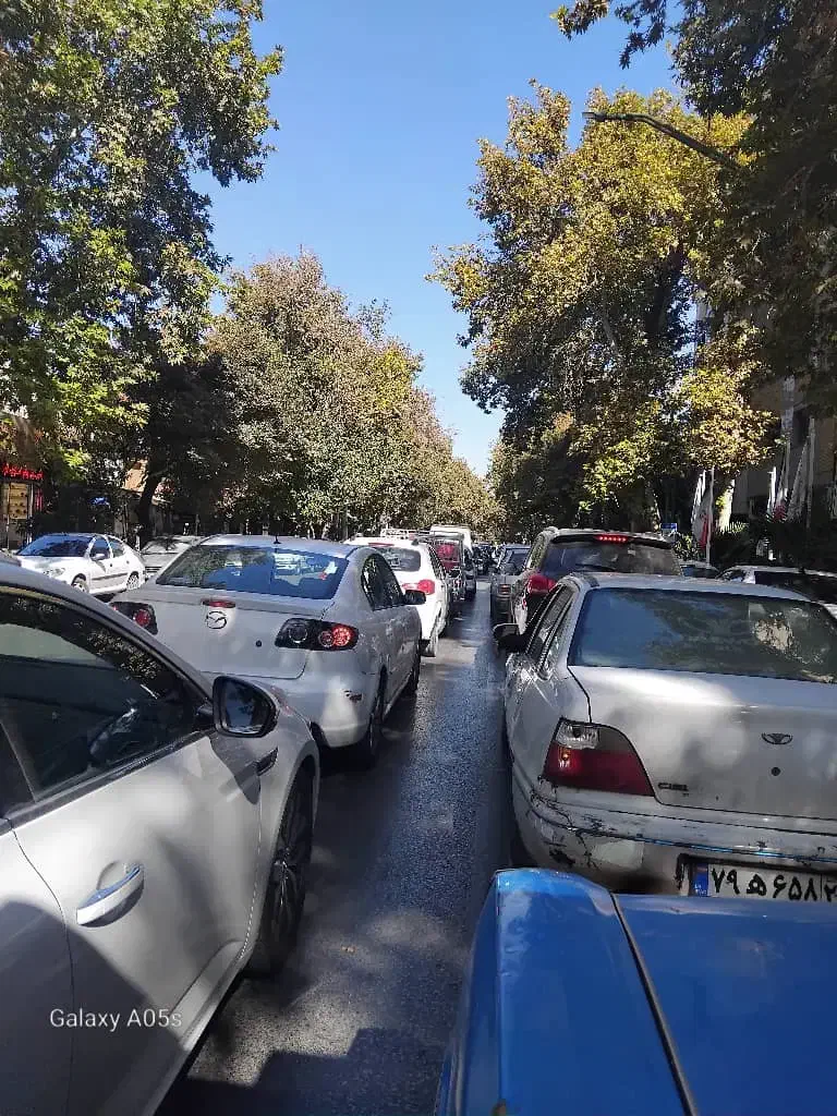 مدارک گمشده|اشیا|اصفهان, حصه جنوبی|دیوار