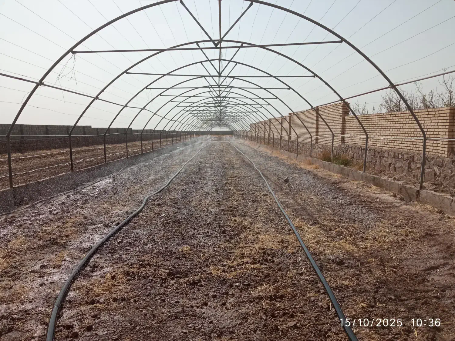 سازه گلخانه|عمدهفروشی|رادکان, |دیوار