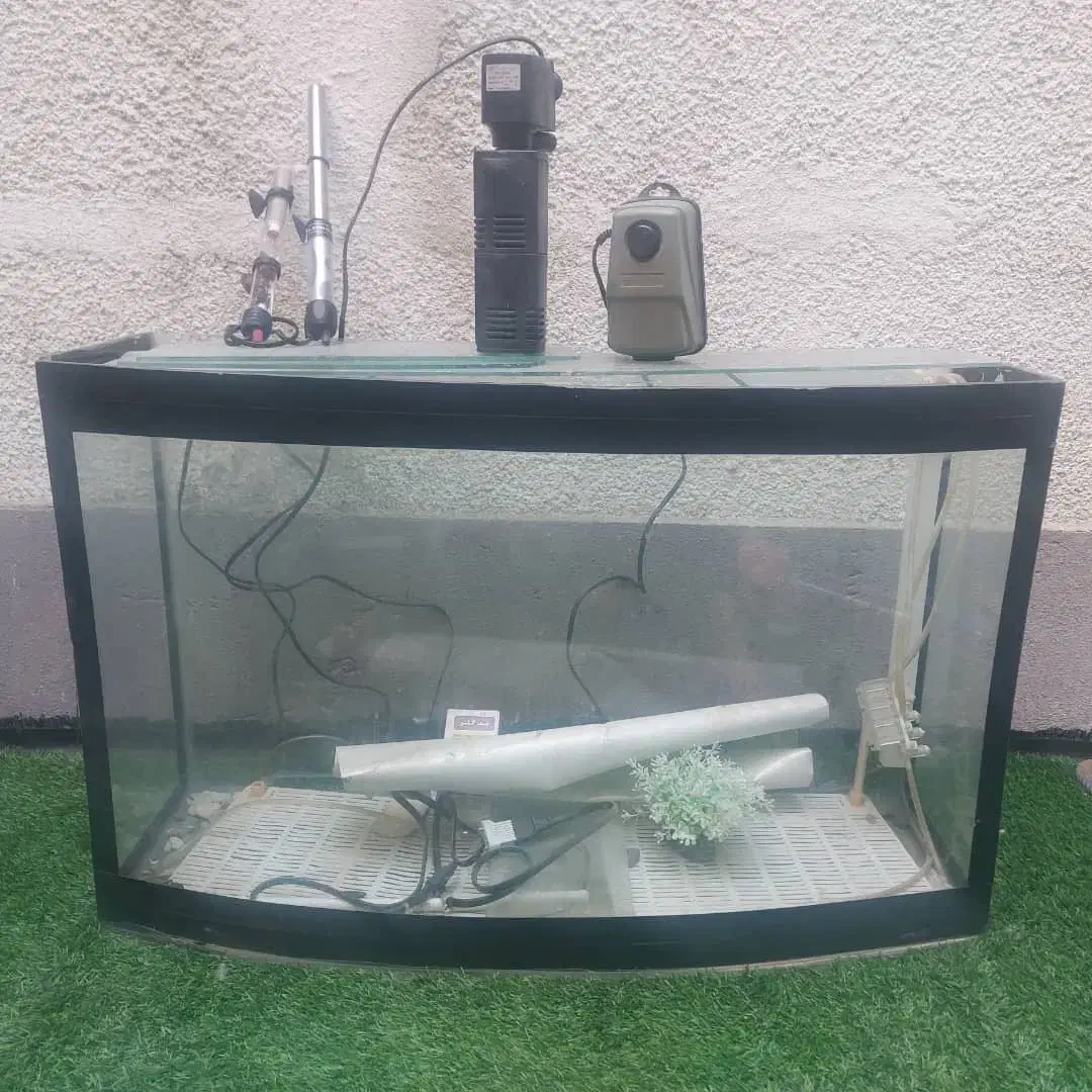 اکواریوم با وسایل|ماهی|شیراز, آبیاری|دیوار