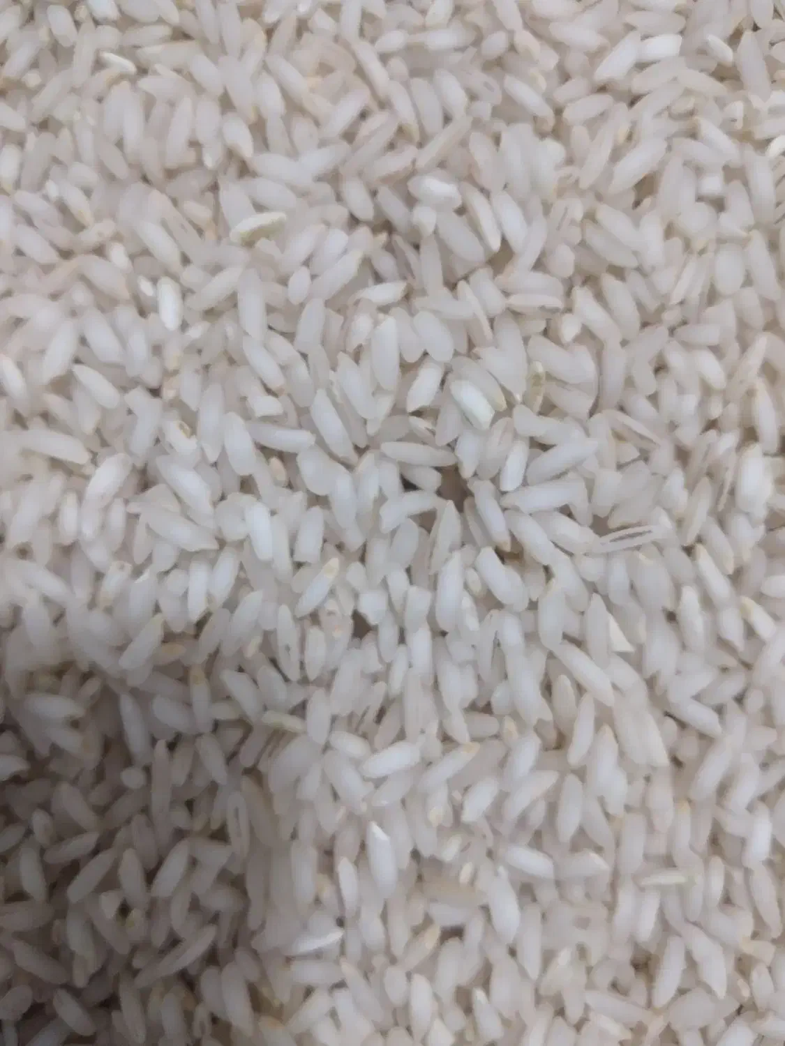 برنج سالم ونیم دانه محلی صدری صحنه|خوردنی و آشامیدنی|صحنه, |دیوار