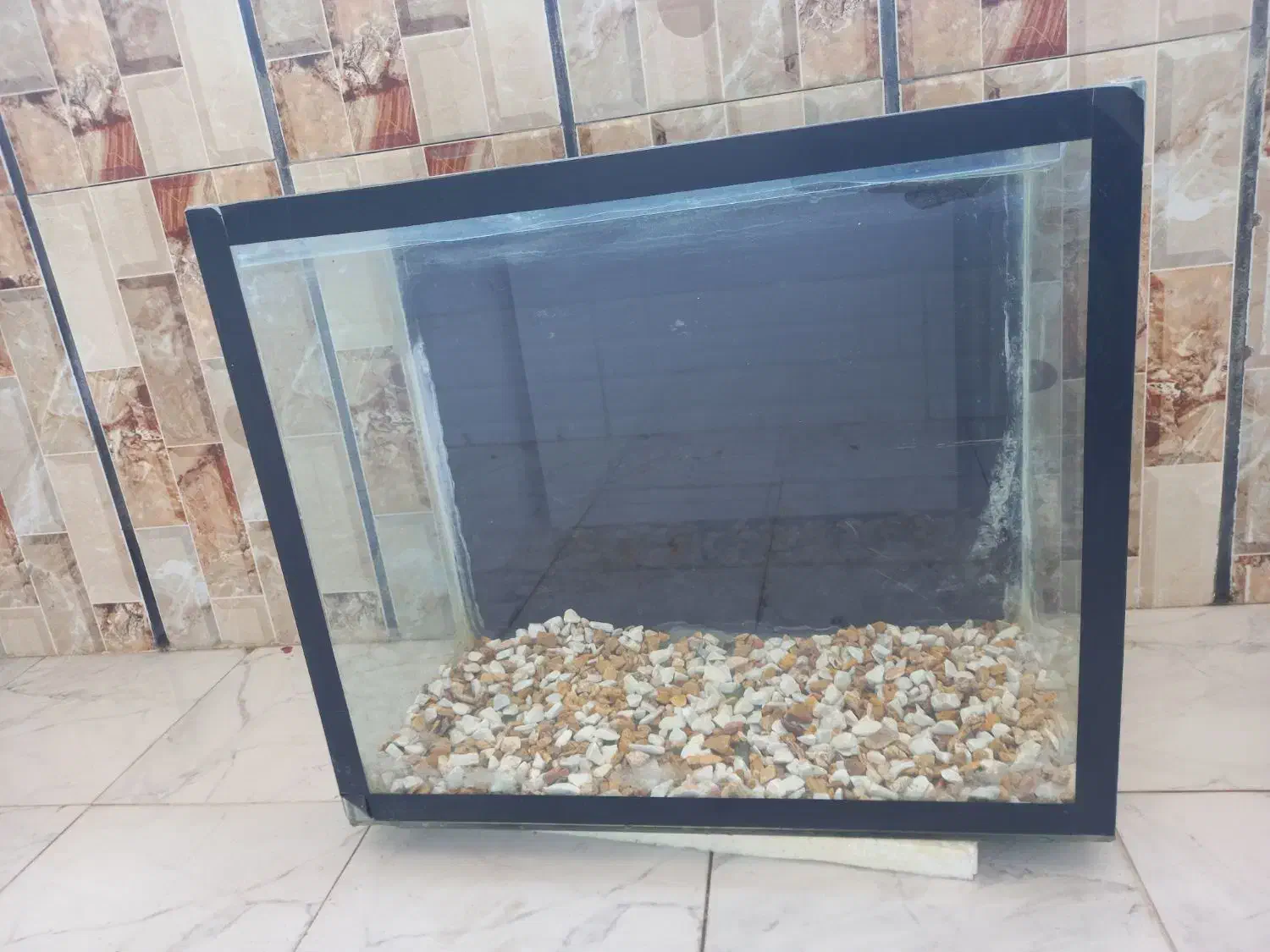 اکواریوم|ماهی|پیر بکران, |دیوار